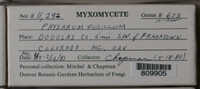 Image Associated With the Occurence
